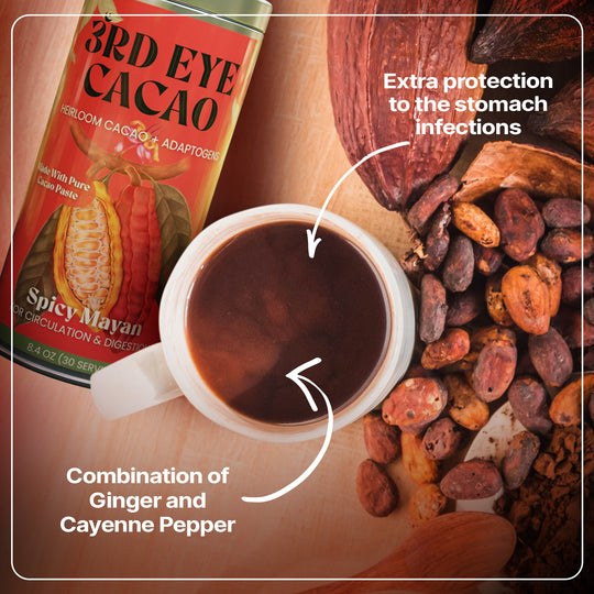 Spicy Mayan Elixir