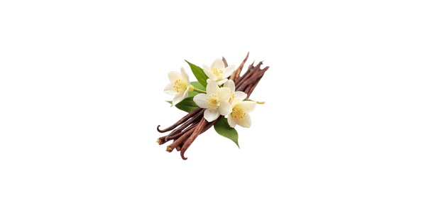 Madagascar Vanilla 