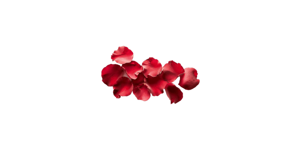 Rose Petals