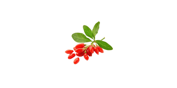 Goji Berry