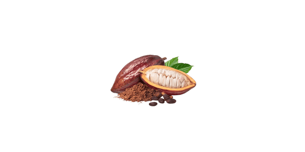 Ecuadorian Cacao