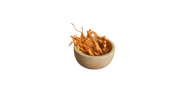 Cordyceps Mushroom