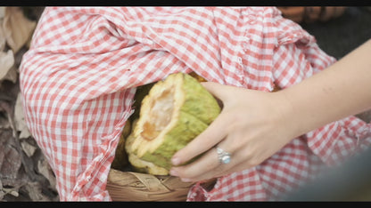 Single Origin Cacao Club